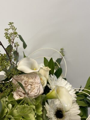 Up Beat Vibes; Cut Flowers - Plush Floral Studio
