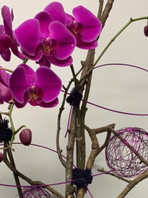 Blushing Ro·sé; Fuschia Orchid