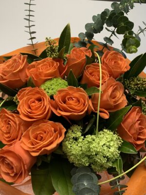 Orange Crush Roses