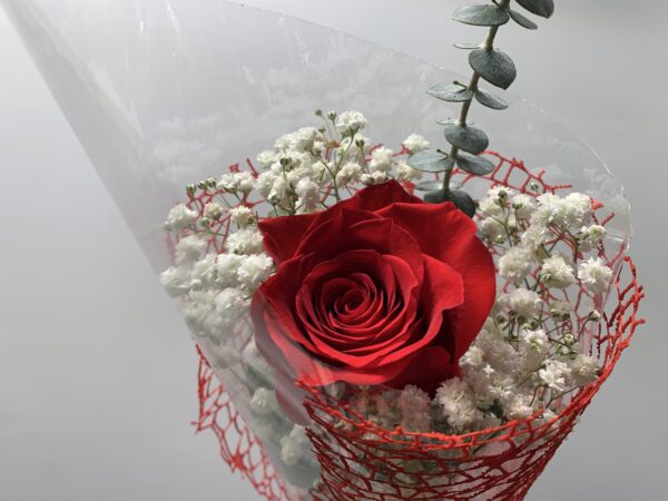 Single Wrapped Red - Image 2