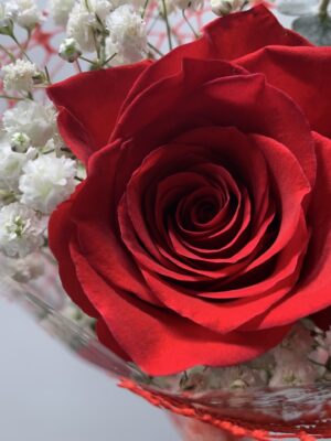 Single Wrapped Red