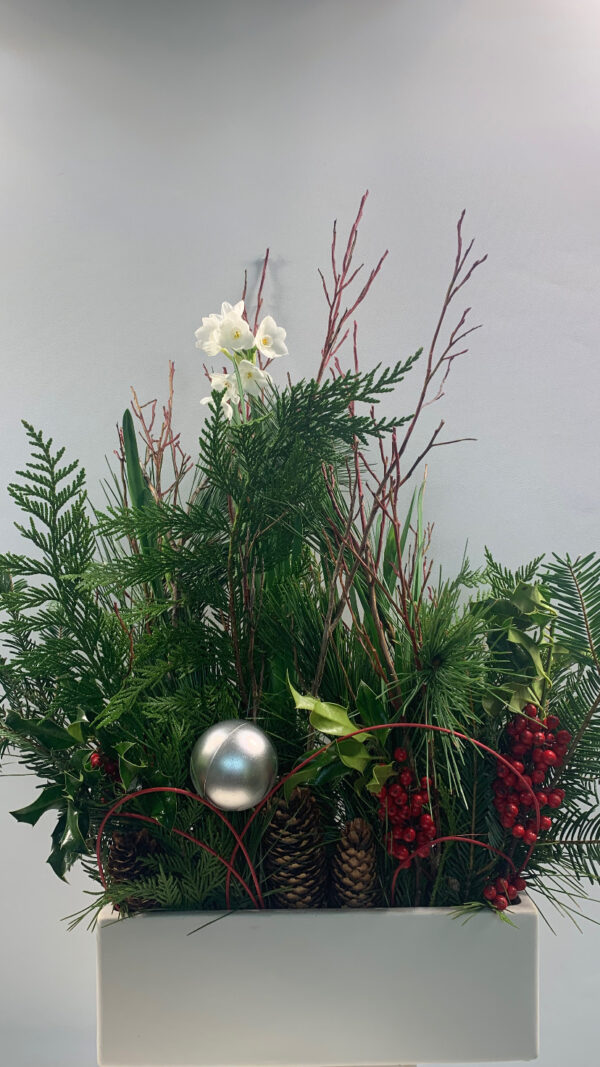 Candy Cane Christmas - Image 2