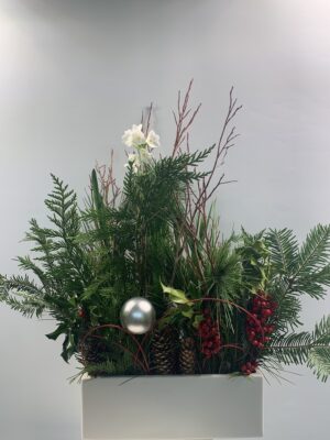 Candy Cane Christmas