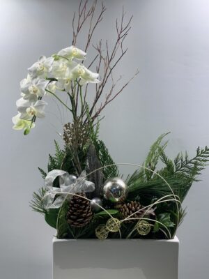 NEW! Holiday Vibes Orchid