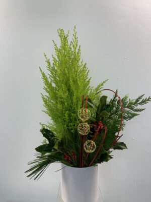 Oh Christmas Tree...