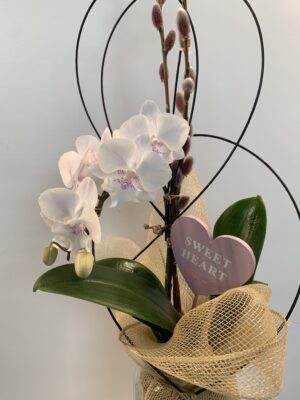 Sweet Heart