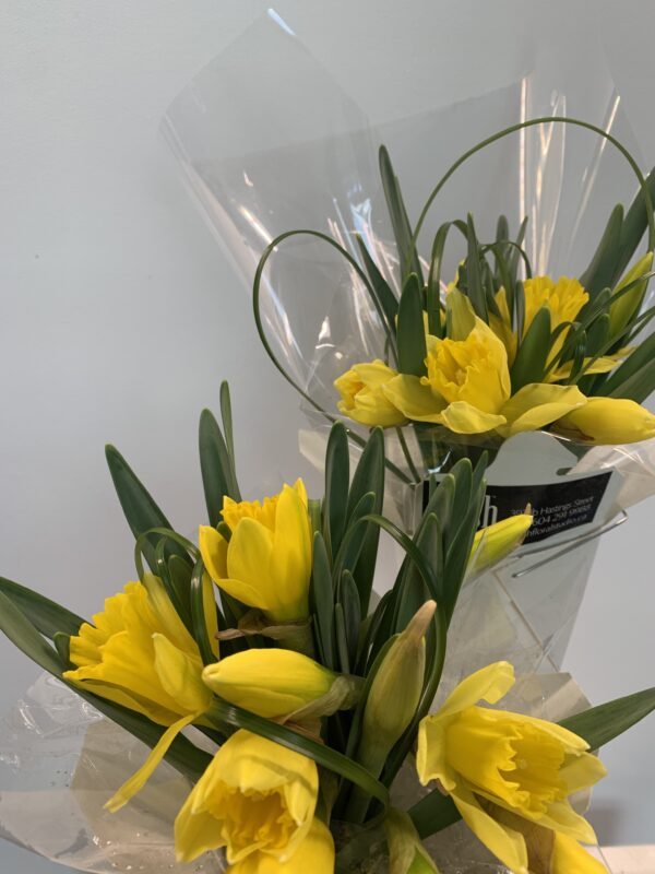 Darling Daffodils