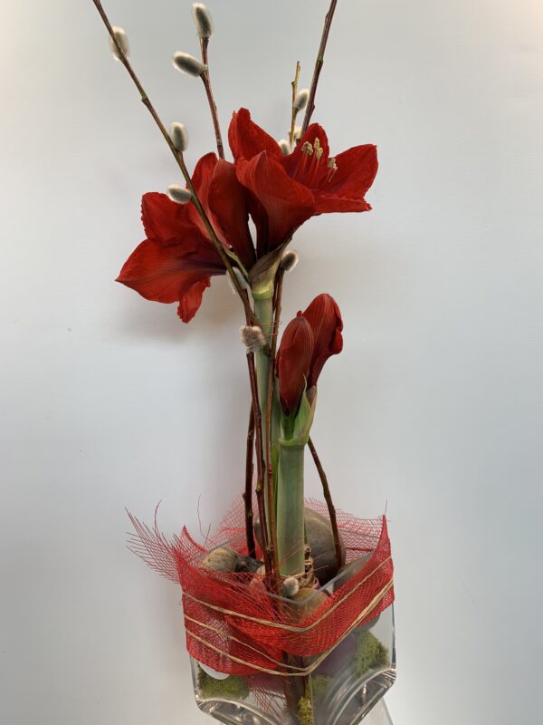 Shabby Chic